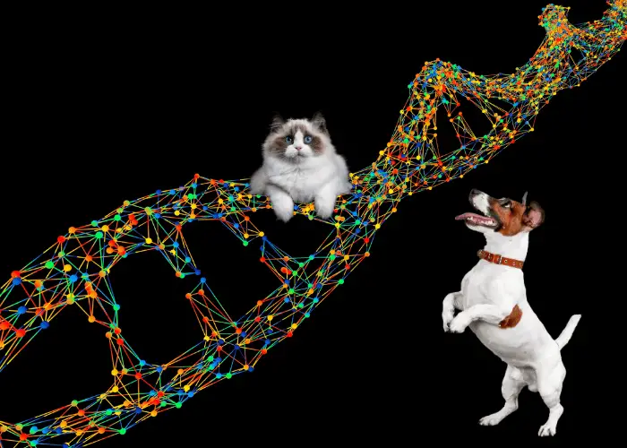 genetics illustration