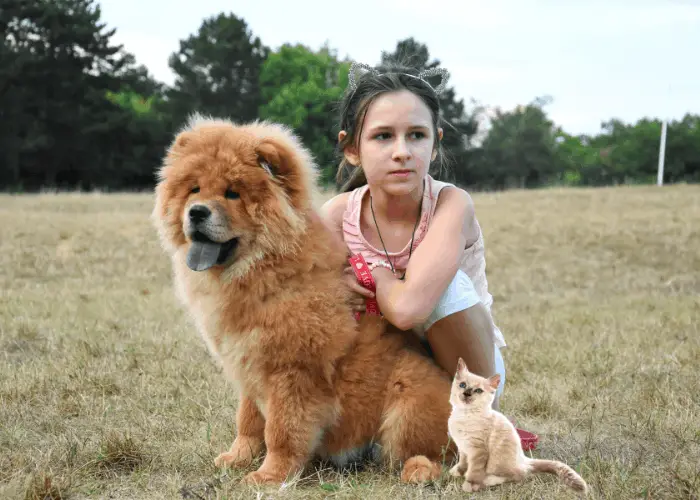 girl with her chow chow and cat at the park