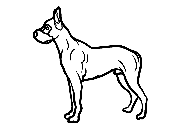 What Breed of Dog is Scrappy Doo? 4 great dane silhoutte
