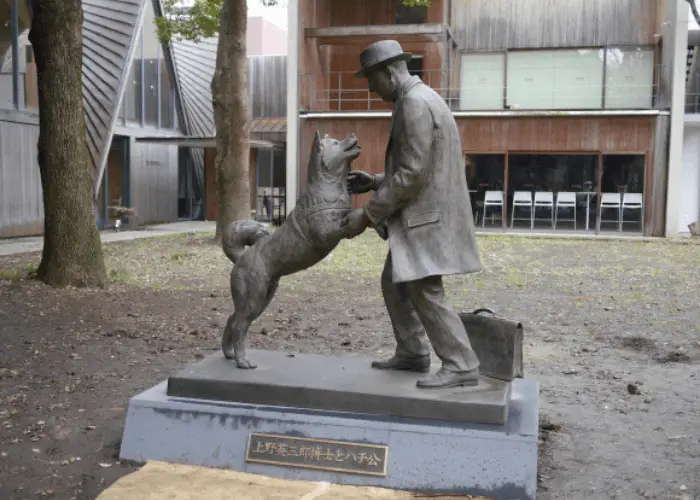 What Kind of Dog is Hachi? 5 hachiko and his master statue image