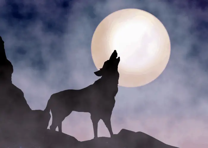 Why Do Dogs Howl In Their Sleep?(A Nightmare?) 4 howling dog during full moon
