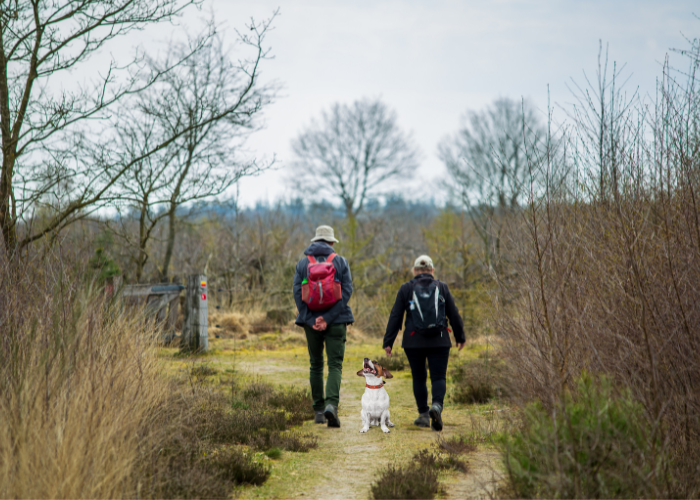 jake russell with its owners in a nature park