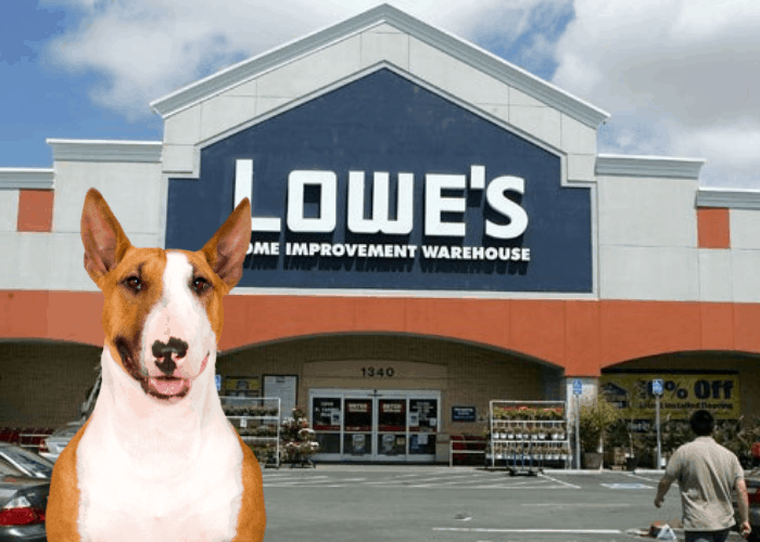 Does Lowe’s Allow Dogs? ( Dog Friendly Policy 2021 )