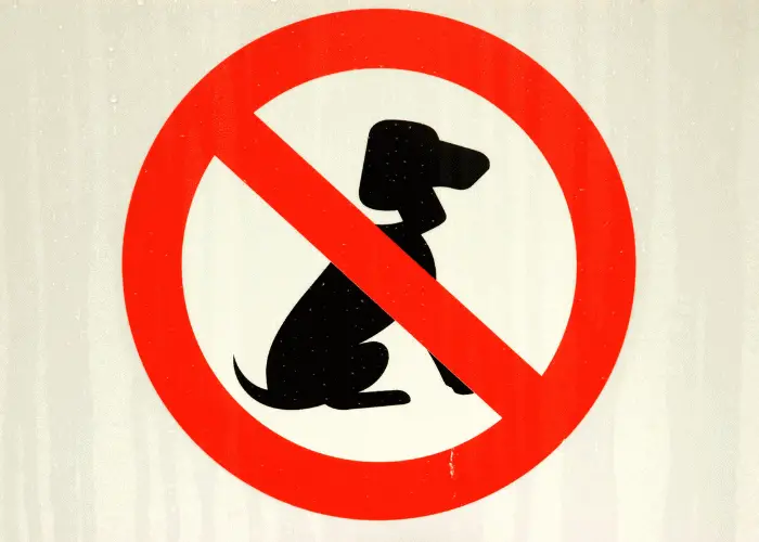 no dog sign