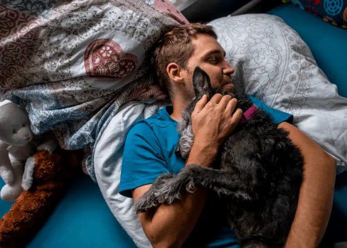 Why Does My Dog Lay On Top Of Me? 6 terrier dog snuggling with owner in bed