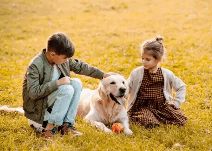 Is a Golden Retriever a Good First Dog? 10 two kids patting a golden retriever
